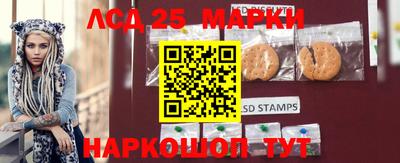гидропоника Моздок